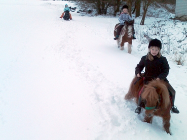 Ponys mit Kindern darauf reiten durch den Schnee